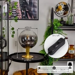 Hofstein Berle Tischleuchte Gold, 1-flammig -Günstiges Tischlampen Geschäft berle tischleuchte h3577516 3