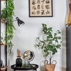 Hofstein Brienz Klemmleuchte Chrom, Schwarz, 1-flammig -Günstiges Tischlampen Geschäft brienz klemmleuchte h3545331 11