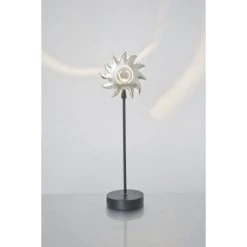 Holländer PICCOLA SOLE Tischleuchte Schwarz, Silber, 1-flammig