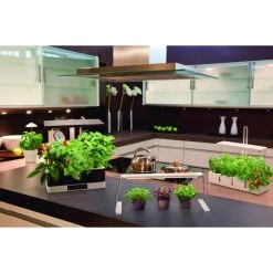 LEDVANCE Indoor Garden Tischleuchte Weiß, 1-flammig 12 LEDVANCE Indoor Garden Tischleuchte Weiß, 1-flammig -Günstiges Tischlampen Geschäft ledvance indoor garden tischleuchte 4058075576131 3