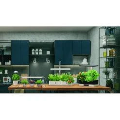 LEDVANCE Indoor Garden Tischleuchte Schwarz, 1-flammig -Günstiges Tischlampen Geschäft ledvance indoor garden tischleuchte 4058075576179 2