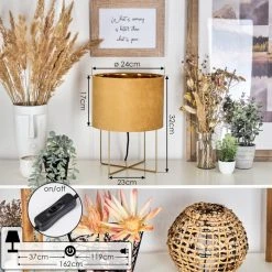 Hofstein Maripi Tischleuchte Gold, 1-flammig -Günstiges Tischlampen Geschäft maripi tischleuchte h3577905 3