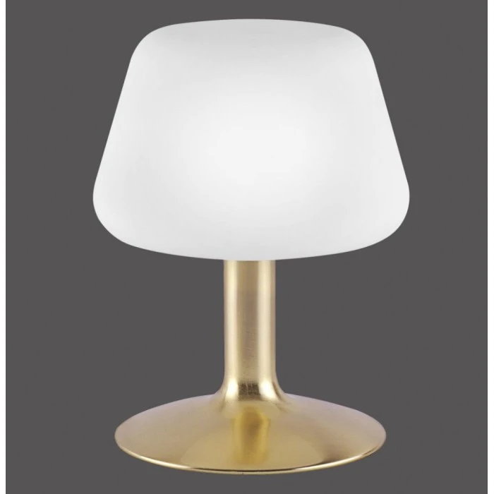 Paul Neuhaus Leuchten Paul Neuhaus TILL Tischleuchte LED Messing, 1-flammig 3 Paul Neuhaus Leuchten Paul Neuhaus TILL Tischleuchte LED Messing, 1-flammig