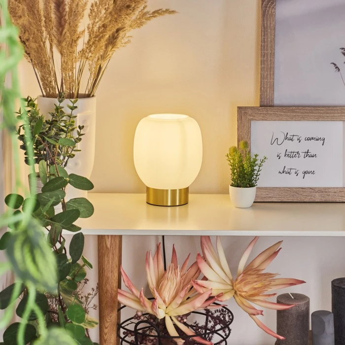 Hofstein Pintacura Tischleuchte Messing, 1-flammig 9 Hofstein Pintacura Tischleuchte Messing, 1-flammig – Bild 7