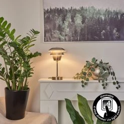 Hofstein Wacissa Tischleuchte Nickel-Matt, 1-flammig